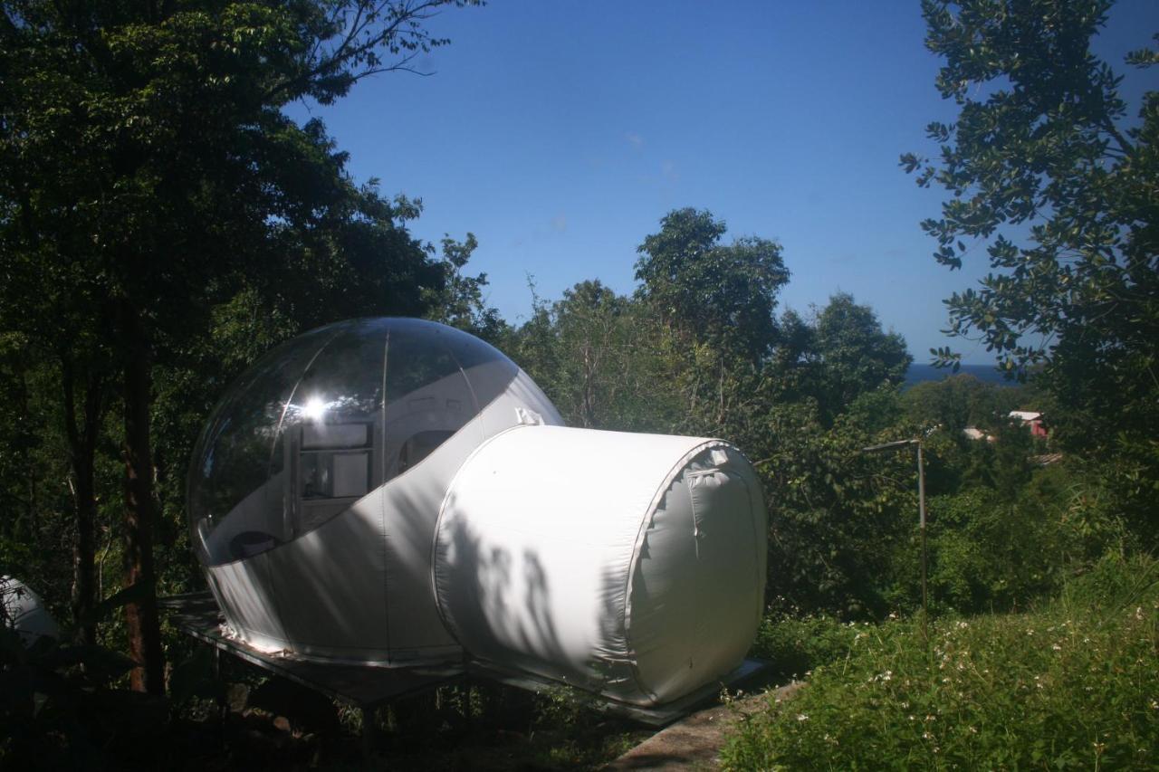 Maisons Bulles Deluxe Hotel Bouillante Luaran gambar