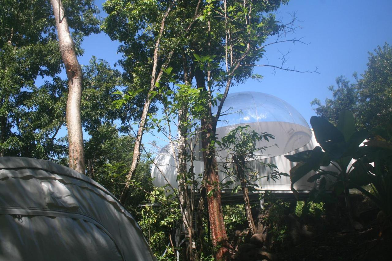 Maisons Bulles Deluxe Hotel Bouillante Luaran gambar
