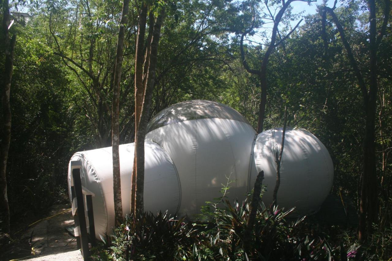Maisons Bulles Deluxe Hotel Bouillante Luaran gambar